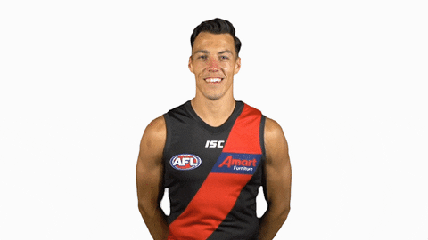 essendonfc giphyupload dons bombers essendon GIF