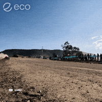 Venture Capital Vc GIF by Eco