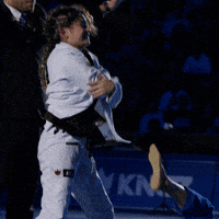 artofjiujitsu bjj jiu jitsu worlds ibjjf GIF