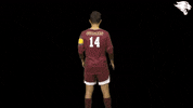 Cuc19 D3Soc GIF by CUCougars