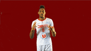 choletbasket sport basketball basket cb GIF
