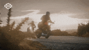 Sun Bike GIF by Harley-Davidson