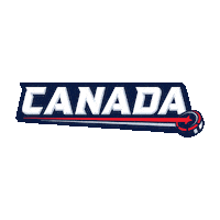 Happy Ice Hockey Sticker by NHL