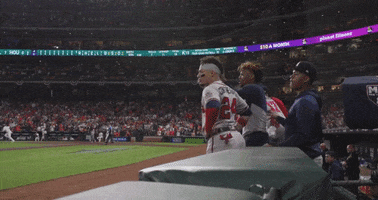 Happy World Series GIF by MLB