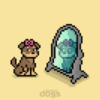 Glow Up Do It GIF by Doginal Dogs