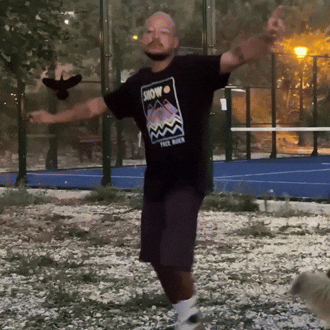 Tvln GIF by The Vanlife Network