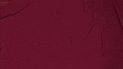 College Baseball GIF by Pearl River Athletics