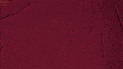 College Baseball GIF by Pearl River Athletics