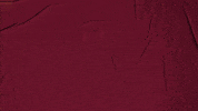 College Baseball GIF by Pearl River Athletics