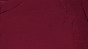 College Baseball GIF by Pearl River Athletics