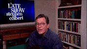 Stephen Colbert Dog GIF by The Late Show With Stephen Colbert