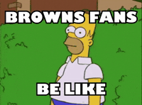 Cleveland Browns Nfl GIF by Respective