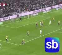GIF by Sporbulteni