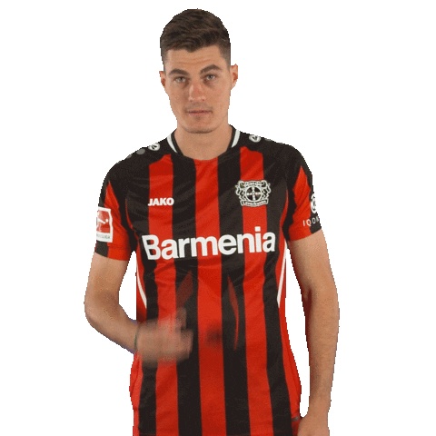 Whats Up Summer Sticker by Bayer 04 Leverkusen