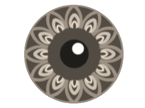 IrisFotoSchweiz giphyupload photography eye switzerland Sticker