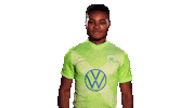 Soccer Sticker Sticker by VfL Wolfsburg