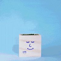 plant growing GIF by Smile Direct Club