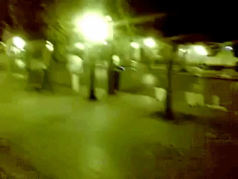 lionthewader giphygifmaker GIF