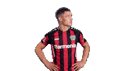 Im Out Bayer 04 Sticker by Bundesliga
