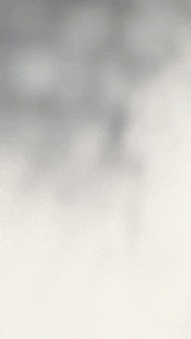 Halloween Horror GIF by Youtooz