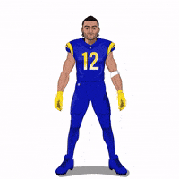 I See You Football GIF by Panini America
