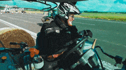 Alleycatstv celebration season 2 bbc bbc three GIF
