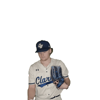 Clarke Baseball Sticker by Clarke University