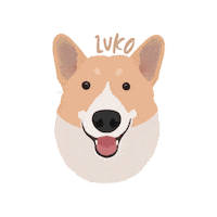 Dog Corgi Sticker