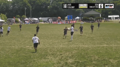 flikulti ultimate frisbee flik GIF