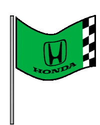 Winning Green Flag Sticker by Honda
