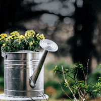 RayWhiteGroup  GIF