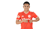 Vamointer Diadeinter Sticker by Sport Club Internacional