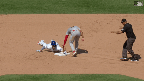 Celebrate Ny Mets GIF by New York Mets