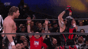 GIF by ALL ELITE WRESTLING