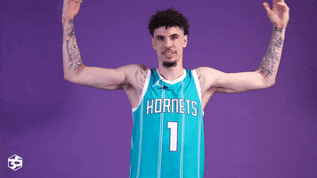 Basketball Nba GIF by Charlotte Hornets