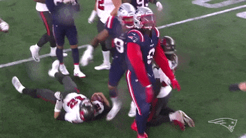 Football Nfl GIF by New England Patriots