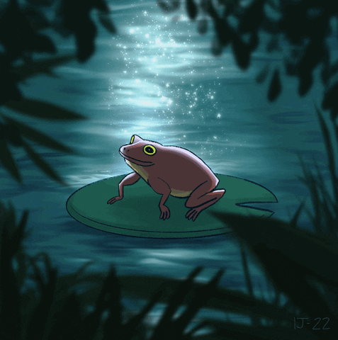 jitterbugbear animation animals frog 2d animation GIF