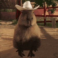 Pablo Capybara GIF by theHunter: Call of the Wild (Official)
