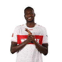 Come On Football Sticker by VfB Stuttgart