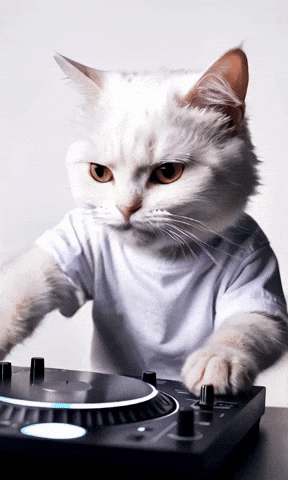 Cat Dj GIF by systaime