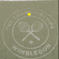 tennis GIF by Wimbledon