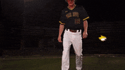 College Baseball GIF by Pearl River Athletics