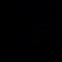 Dance Dancing GIF by Dr. Donna Thomas Rodgers