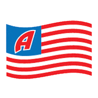american horse Sticker by Katie