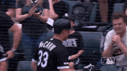 major league baseball sport GIF by MLB