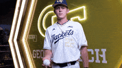Georgia Tech Baseball GIF by Georgia Tech Yellow Jackets