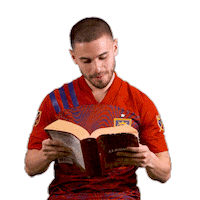 Major League Soccer Football Sticker by realsaltlake