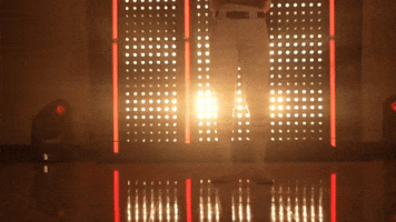 Stanford Cardinal Softball GIF by NCAA Championships