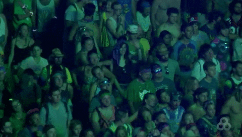 bonnaroo 2016 GIF by Bonnaroo Music and Arts Festival