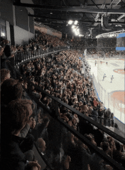 VIFHockey ishockey vif feiring mål GIF
